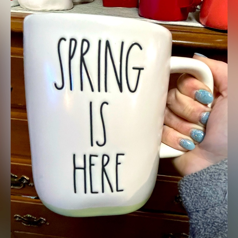 NWOT RAE DUNN SPRING IS HERE Coffee Mug